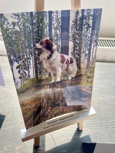 Rozstrzygnięcie powiatowego konkursu fotograficznego „Najpiękniejsza jest moja mała ojczyzna”