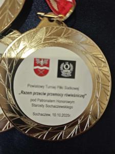 nasi uczniowie na turnieju siatkówki