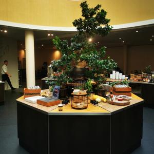 Career fest  2025 z udziałem naszej szkoły