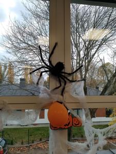 Dzień postaci z bajek, filmów w naszej szkole