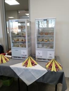 Europejskie Dni Zdrowego Jedzenia