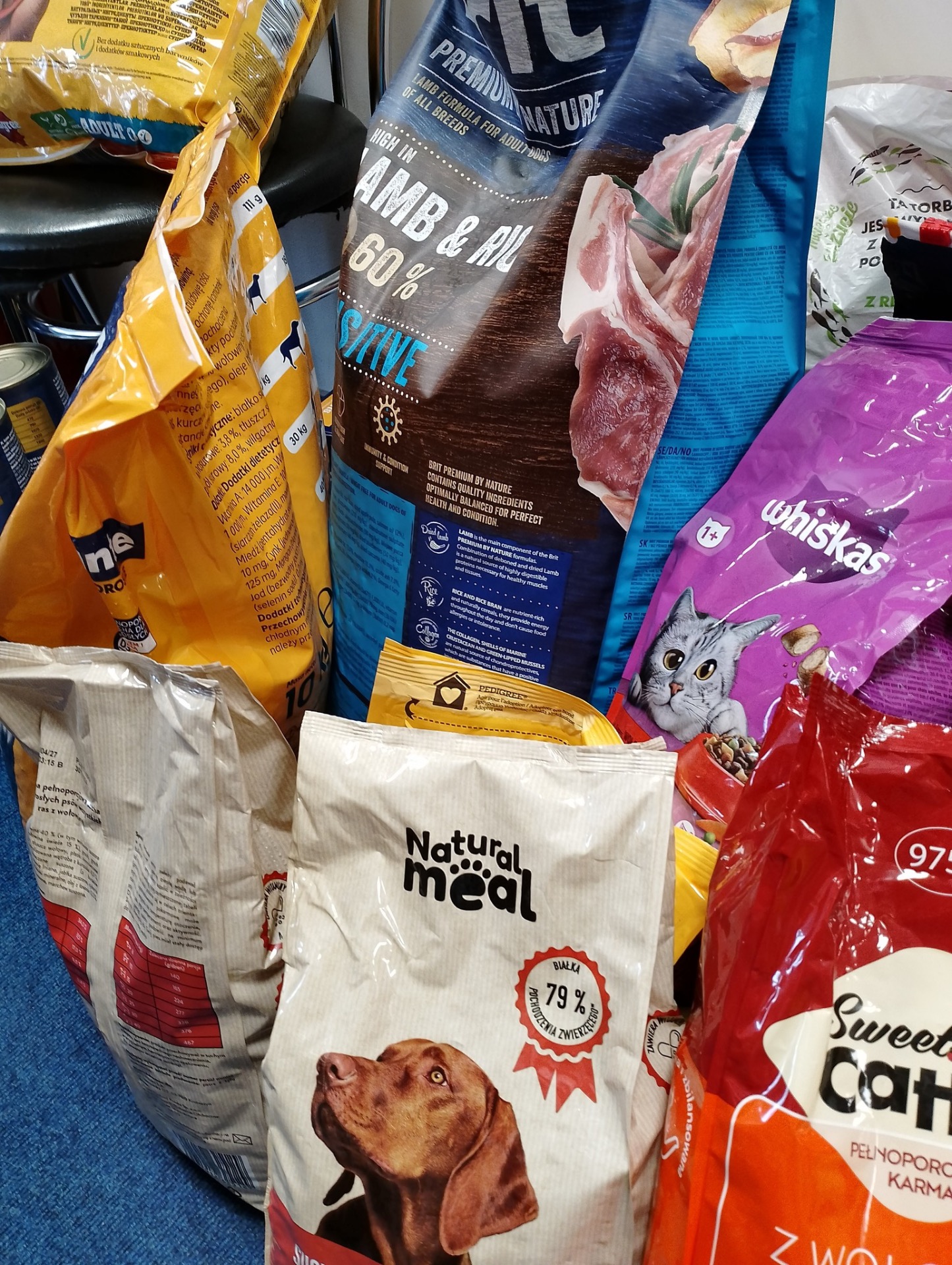 Zdjęcia ze zbiórki karmy dla zwierząt