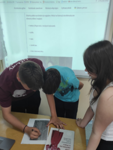 historia_tb_4.png[small]