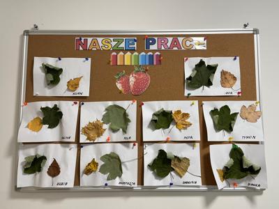 Grupa Truskawki