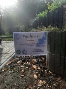 Działalność Szkolnego Koła Wolontariatu