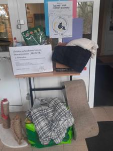Działalność Szkolnego Koła Wolontariatu