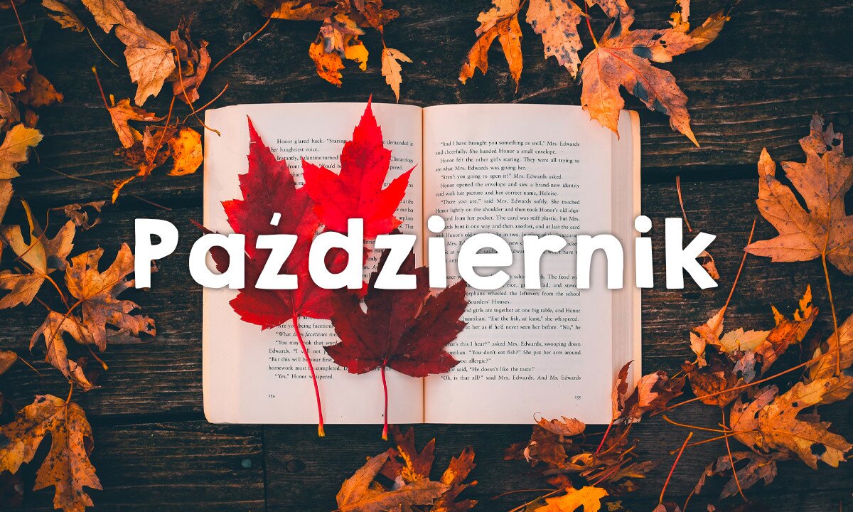 Październik miesiącem bibliotek