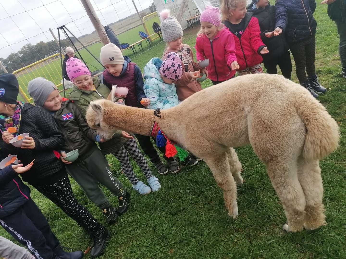Tutaj powinien być opis