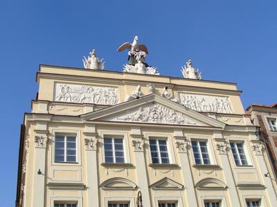 Co usiadło na pałacu Działyńskich? Łabędź, bocian czy pelikan?