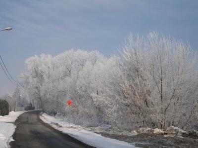 Zdjęcie D.
Zdjęcie zrobione tej zimy, przedstawia krajobraz zimowy z okolic Wronczyna.