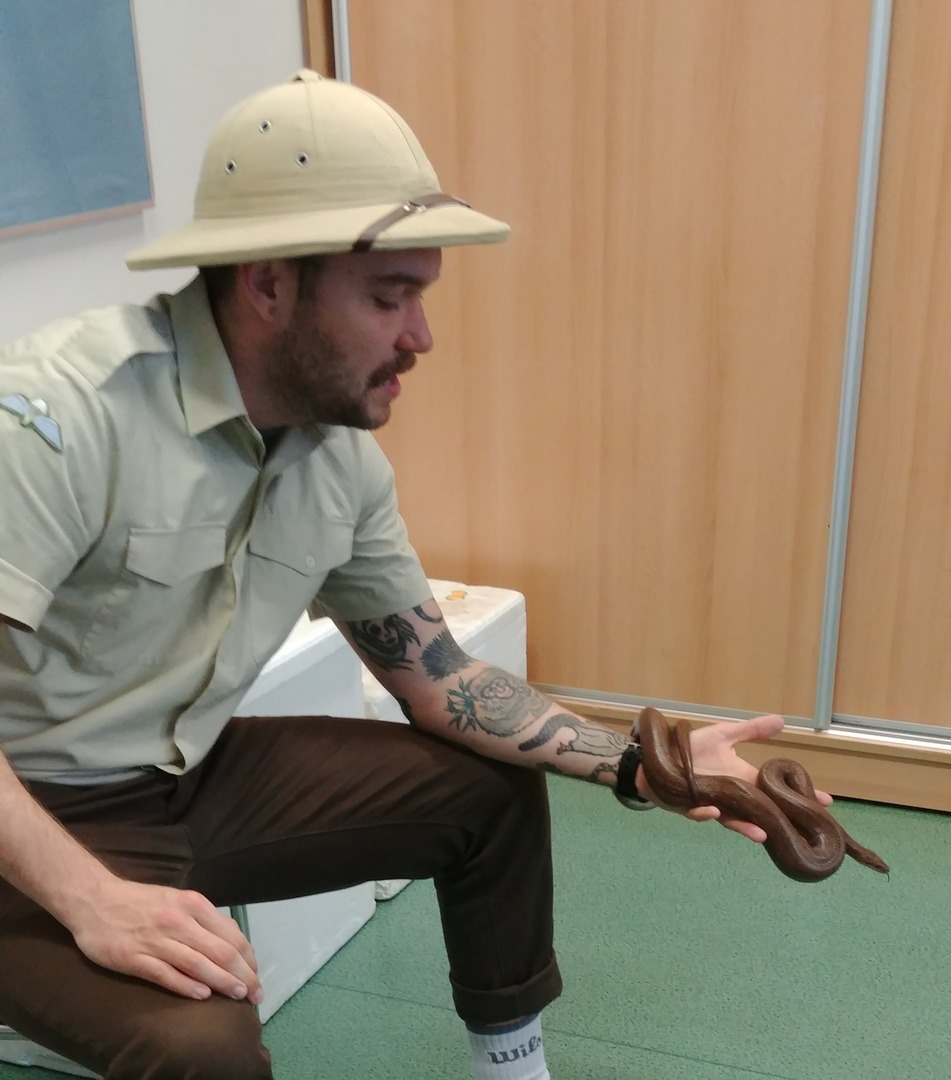 Tutaj powinien być opis obrazka