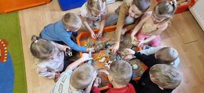 Przedszkolaki bawią się w paleontologów.