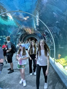 Młodzież przechodzącą przez tunel z rekinami i innymi rybami