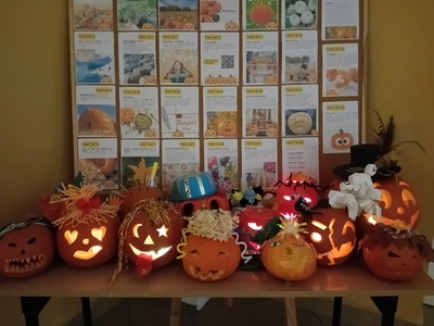 Pumkin Day Festival