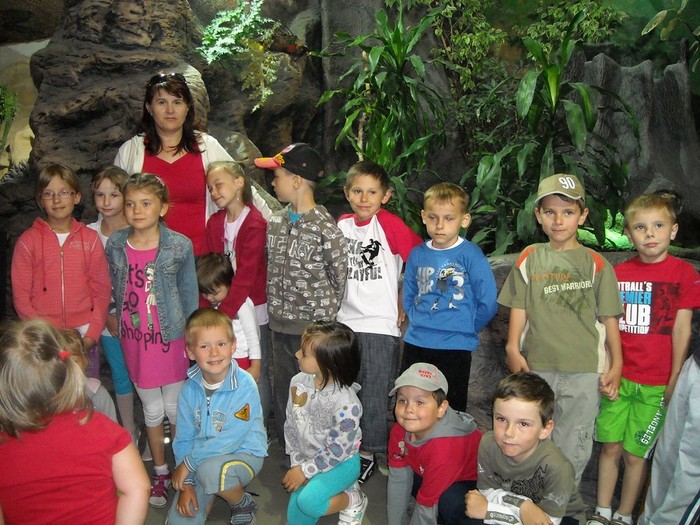 Tutaj powinien być opis