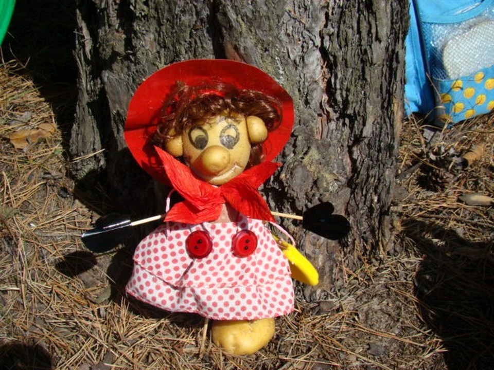 Tutaj powinien być opis