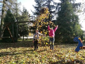 img_20171017_143928jpg [300x225]