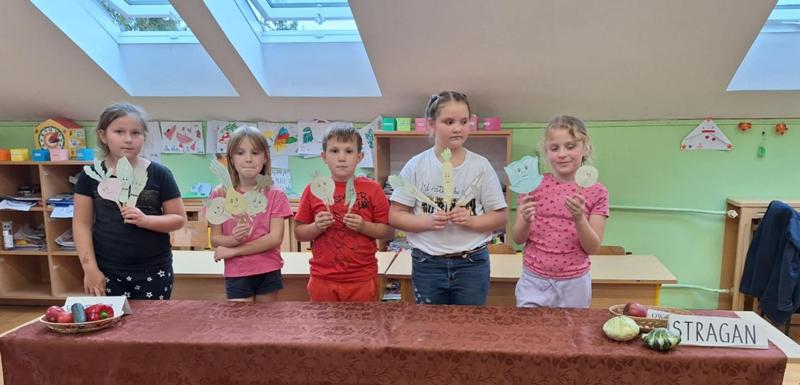 Szkoła Podstawowa Nr 9 W Lesznie Szkoła Podstawowa w Lesznie