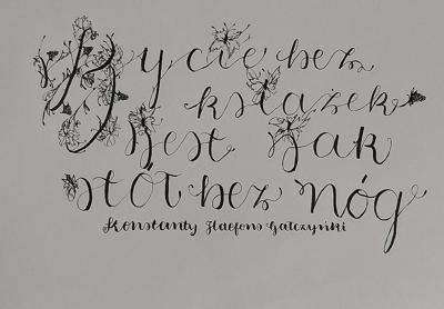 EMILIA STEFANIUK, KL. VII - etap szkolny