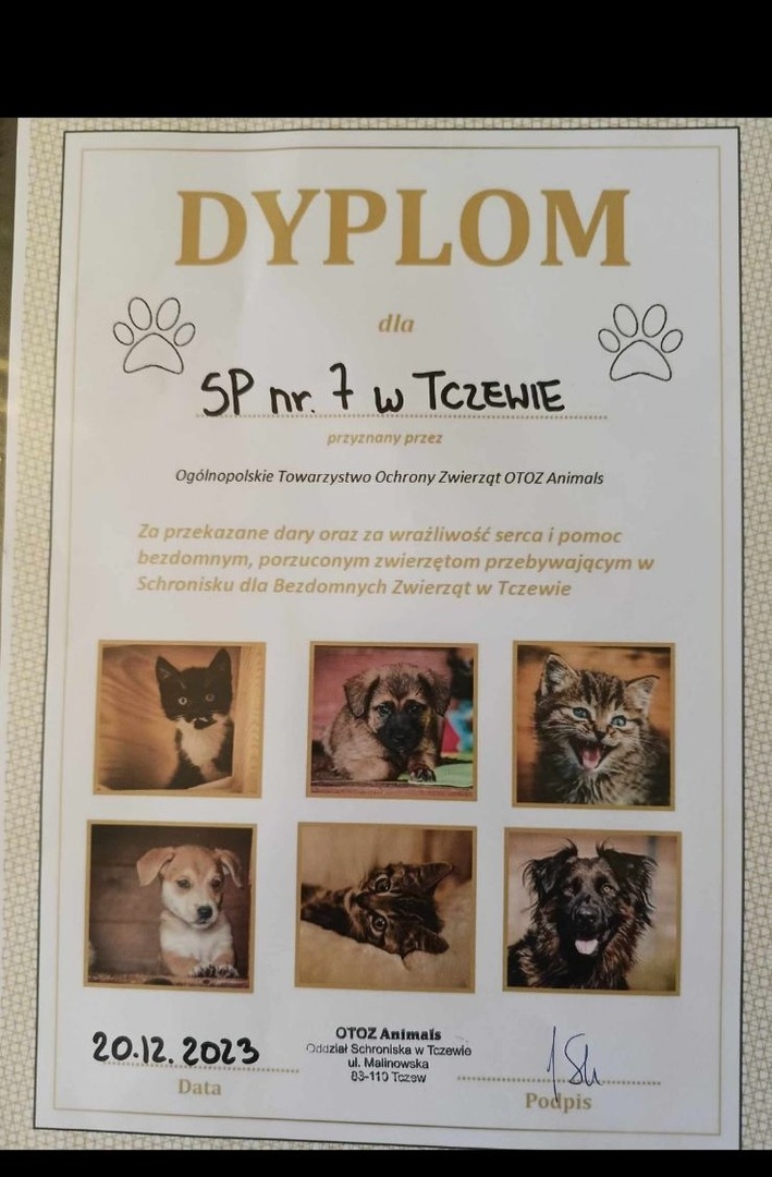Tutaj powinien być opis