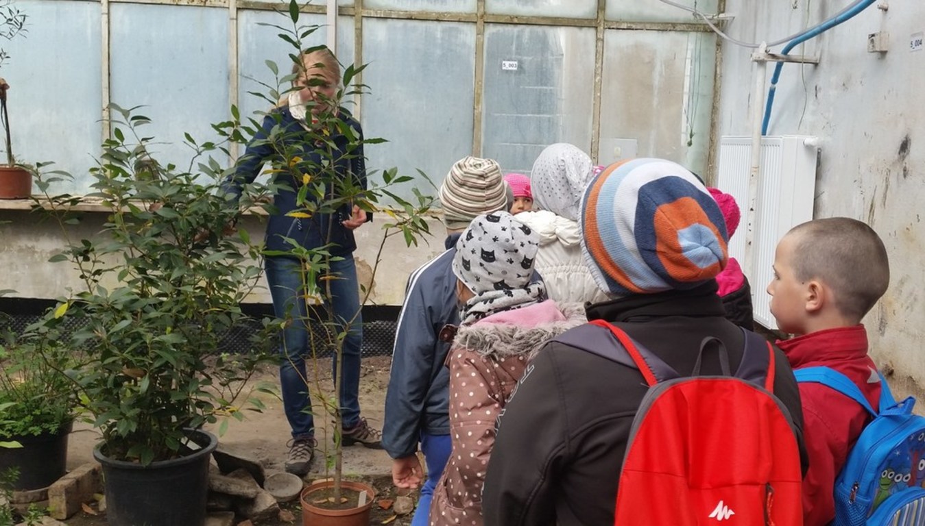 Tutaj powinien być opis obrazka