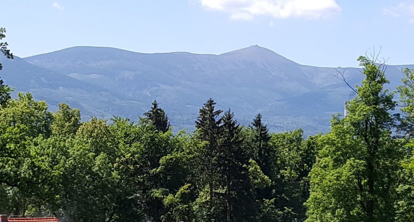 Tutaj powinien być opis obrazka