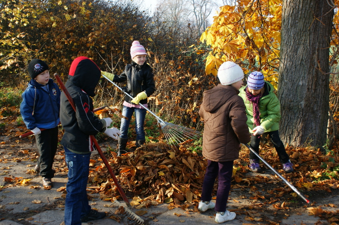 Tutaj powinien być opis obrazka