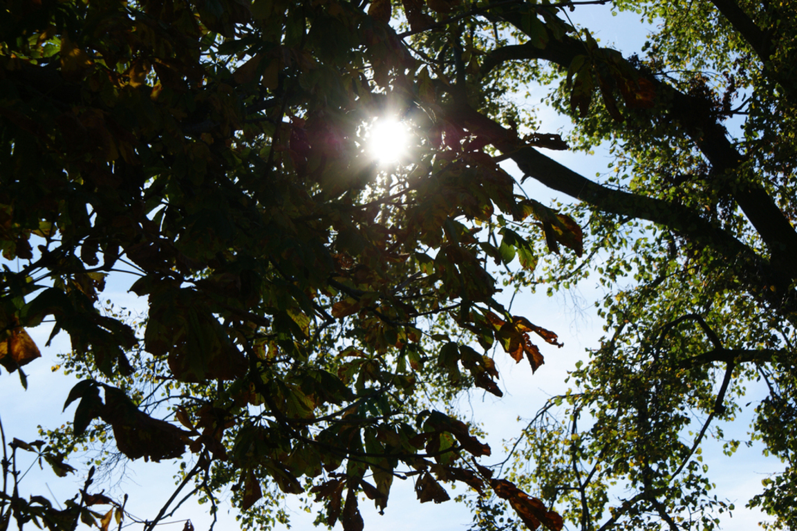 Tutaj powinien być opis obrazka