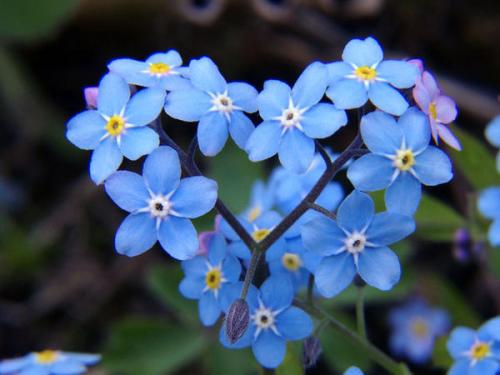 Tutaj powinien być opis obrazka