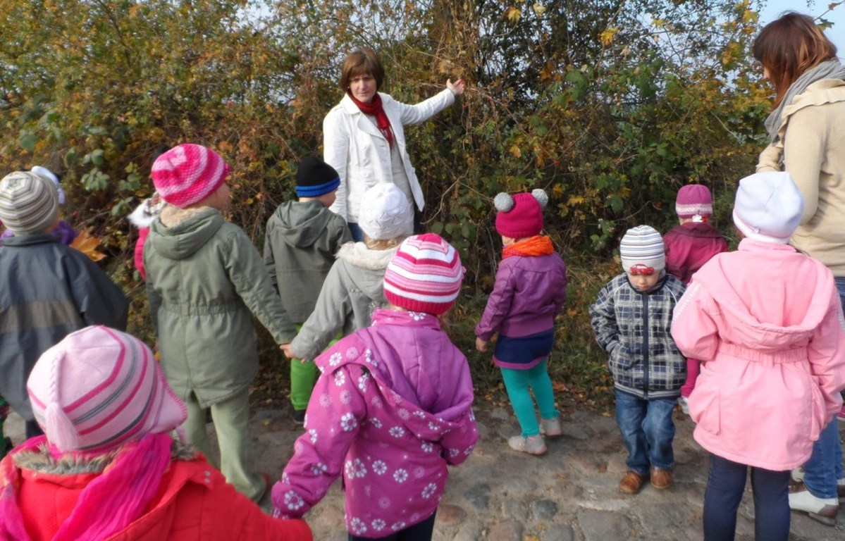 Tutaj powinien być opis obrazka