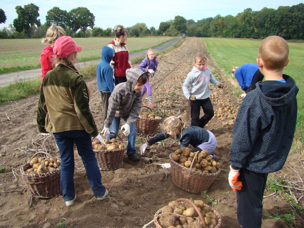 Tutaj powinien być opis obrazka