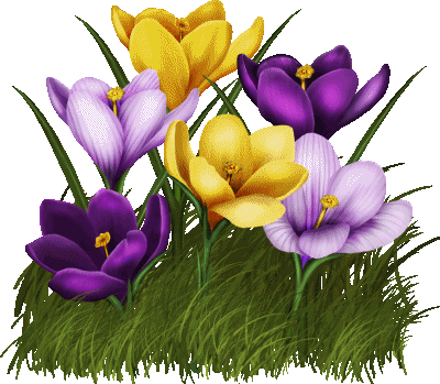 Tutaj powinien być opis obrazka