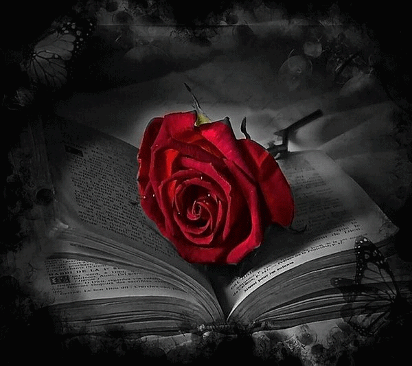 Tutaj powinien być opis obrazka