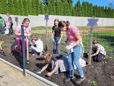 Uczniowie sadzący żonkile przed budynkiem szkoły.