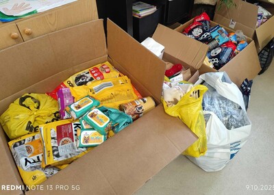 Kartony z karmą dla zwierząt.