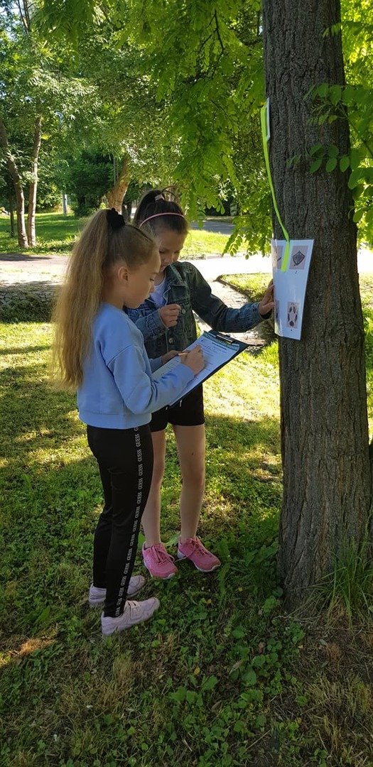 Tutaj powinien być opis obrazka