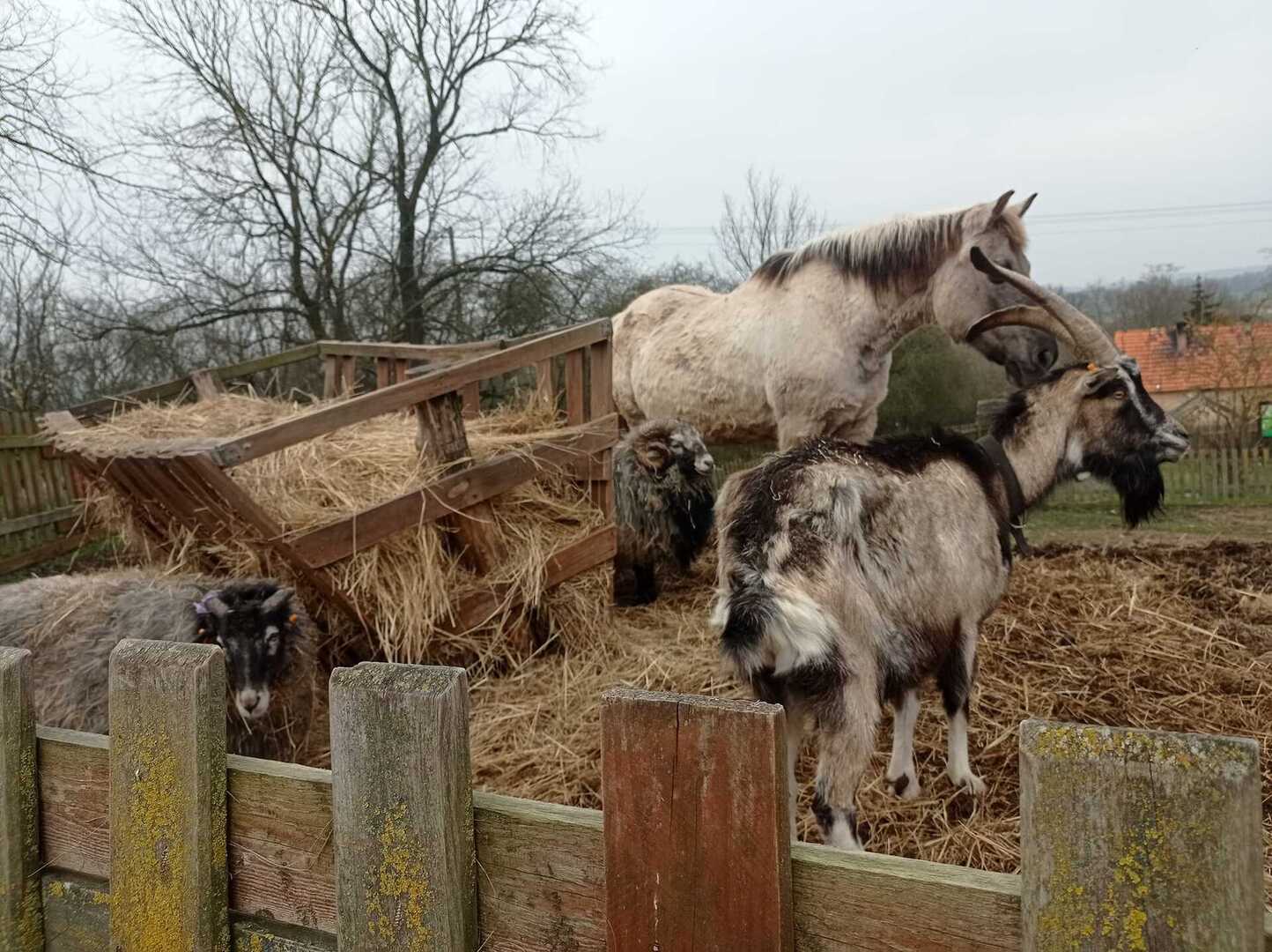 Tutaj powinien być opis obrazka