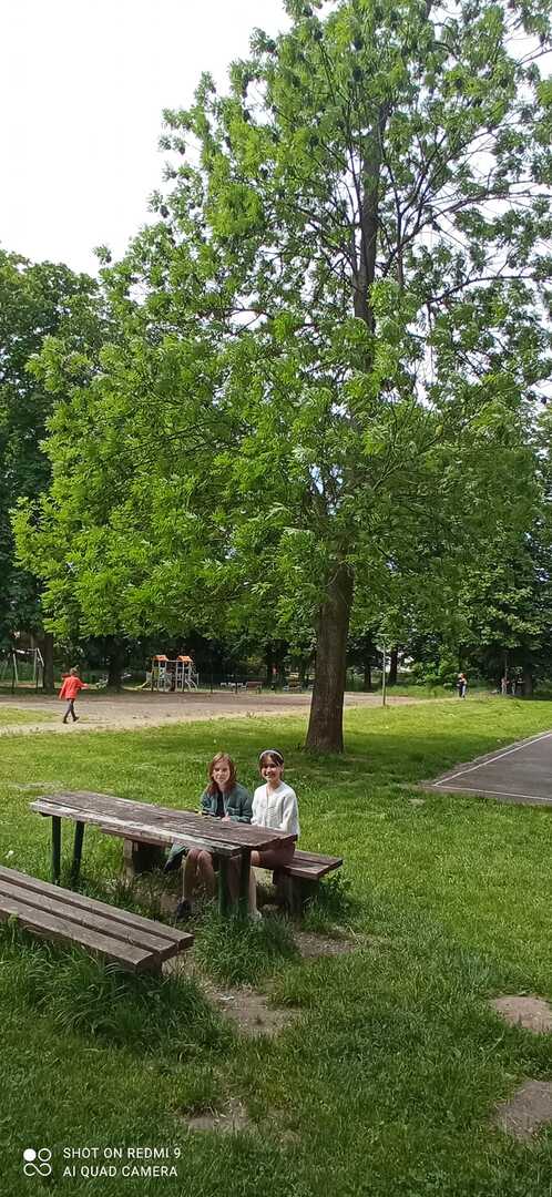 Tutaj powinien być opis obrazka