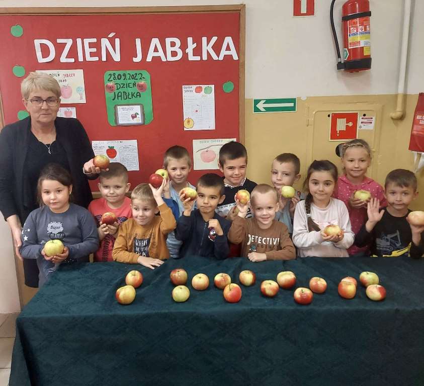 Tutaj powinien być opis