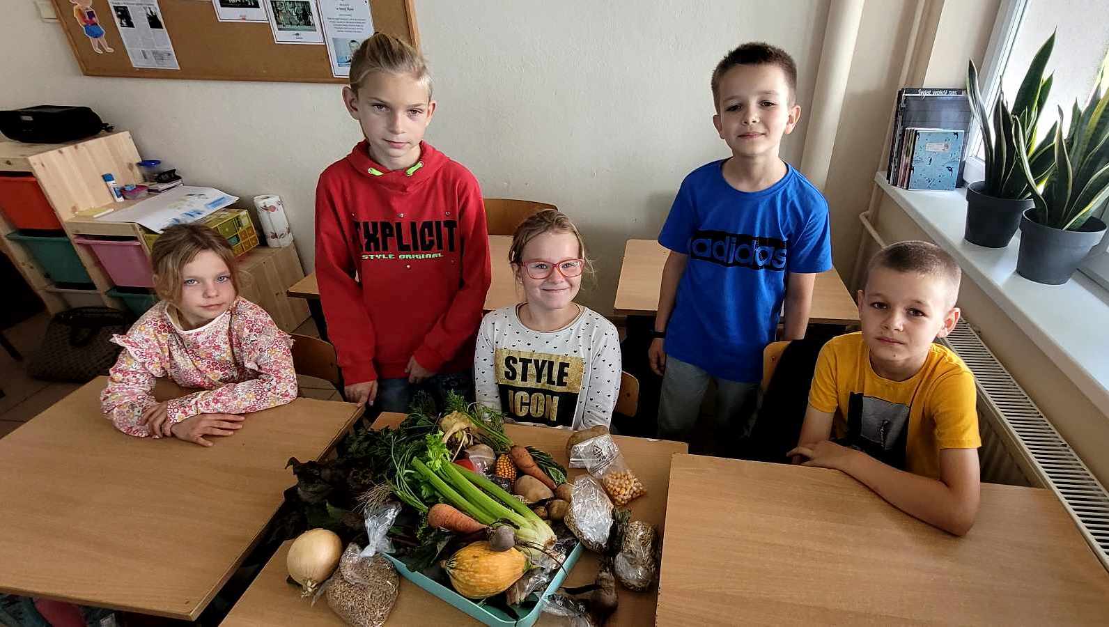 Tutaj powinien być opis