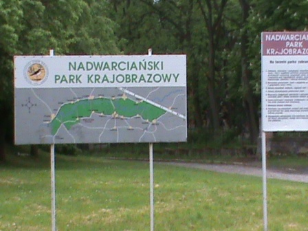 Zdjęcie 1