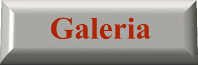 galeria_1jpggif [400x132]