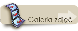 button_galeria.gif button_galeria.gif