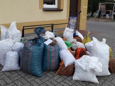 WIELKIE SZKOLNE KASZTANOBRANIE  2019    -  trwa.