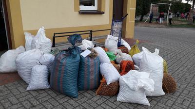 WIELKIE SZKOLNE KASZTANOBRANIE  2019    -  trwa.