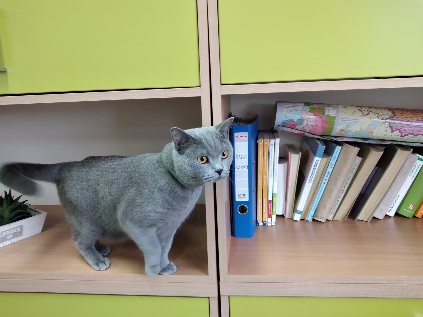 Tutaj powinien być opis