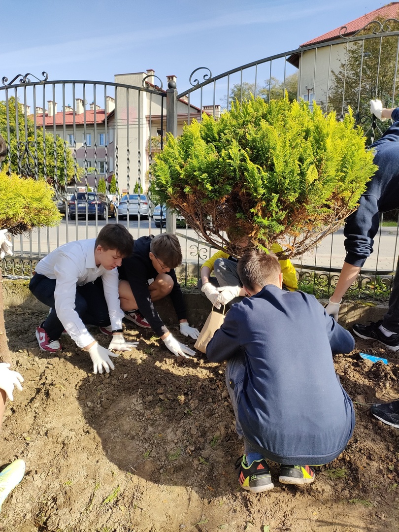 Tutaj powinien być opis