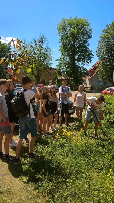 Tutaj powinien być opis