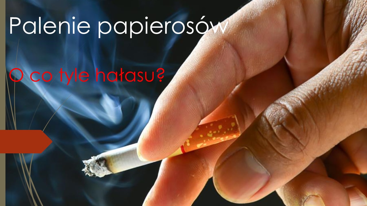 Tutaj powinien być opis