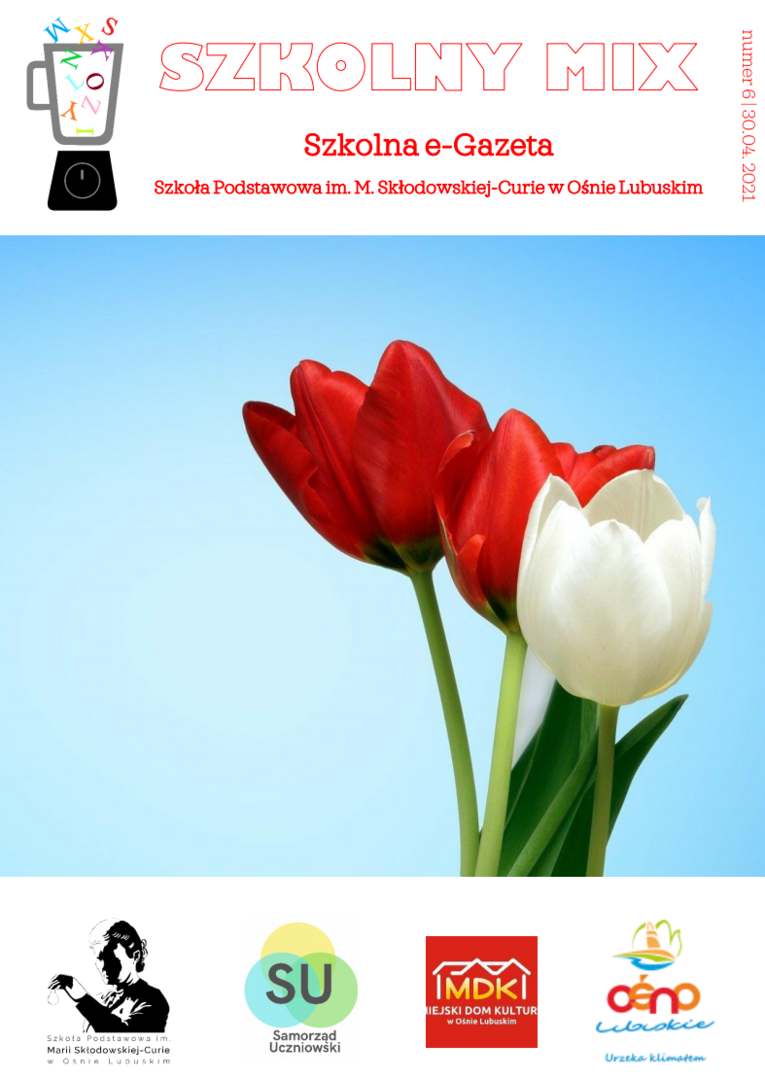 okladka.png